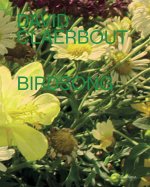 David Claerbout Birdsong /franCais/anglais/allemand