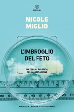 imbroglio del feto. Materia e politica della gestazione