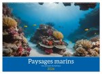 PAYSAGES MARINS PLONGEE FANTASTIQUE CALE