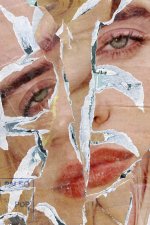 Hilarius Hofstede. The collages