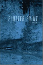 Flutter Point