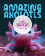 A Lot of Axolotl Facts for Kids Who Axolotl Questions