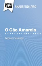 O C?o Amarelo de Georges Simenon (Análise do livro)