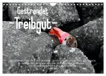 Gestrandet -Treibgut- (Wandkalender 2026 DIN A4 quer), CALVENDO Monatskalender