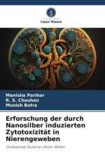 Erforschung der durch Nanosilber induzierten Zytotoxizität in Nierengeweben