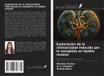 Exploración de la citotoxicidad inducida por la nanoplata en tejidos renales