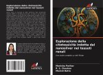 Esplorazione della citotossicit? indotta dal nanosilver nei tessuti renali