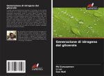 Generazione di idrogeno dal glicerolo