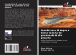 Inondazione di acqua a bassa salinit? dei giacimenti di olio pesante