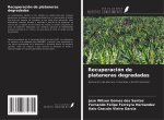 Recuperación de plataneras degradadas
