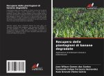 Recupero delle piantagioni di banane degradate