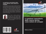 La gestione comunitaria delle risorse idriche come motore di sviluppo