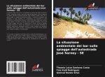 La situazione ambientale dei bar sulle spiagge dell'autostrada José Sarney - SE