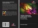 Cellule staminali embrionali umane Brevettare