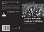 Evaluación del mercado de centros comerciales en el municipio de Sol Plaatje