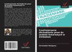 Cywilnoprawne dochodzenie praw do znaków towarowych w Zimbabwe