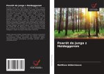 Powrót do Junga z Heideggerem