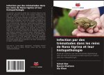 Infection par des trématodes dans les reins de Rana tigrina et leur histopathologie