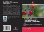 UM ESTUDO SOBRE TRANSFORMAÇ?O E ASPECTOS AMBIENTAIS DE