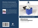 Öffentliches Finanzmanagement