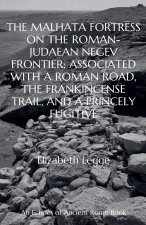 The Malhata Fortress on the Roman-Judaean Negev Frontier