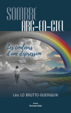 Sombre arc-en-ciel, Les couleurs d’une dépression