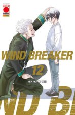 Wind breaker