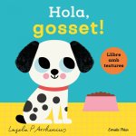 Hola Gosset Llibre Amb Textures