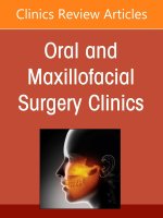 Advancements in Personalized Digital Oral Surgery, An Issue of Oral and Maxillofacial Surgery Clinics of North America