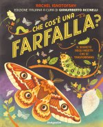 Che cos'è una farfalla? Il segreto degli insetti che si trasformano