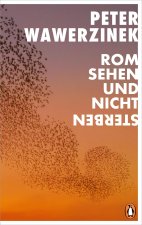 Rom sehen - und nicht sterben
