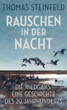 Rauschen in der Nacht