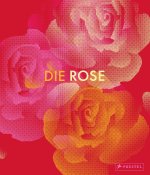 Die Rose