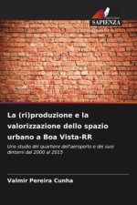 La (ri)produzione e la valorizzazione dello spazio urbano a Boa Vista-RR