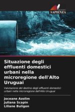 Situazione degli effluenti domestici urbani nella microregione dell'Alto Uruguai