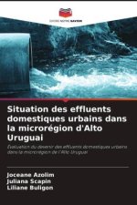 Situation des effluents domestiques urbains dans la microrégion d'Alto Uruguai