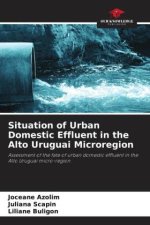 Situation of Urban Domestic Effluent in the Alto Uruguai Microregion