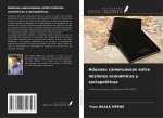 Aduanas camerunesas entre misiones económicas y sociopolíticas