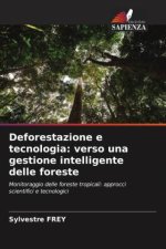 Deforestazione e tecnologia: verso una gestione intelligente delle foreste