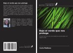 Bajo el verde que nos protege