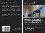 Aparición de hongos en muros de mampostería en el entorno hospitalario