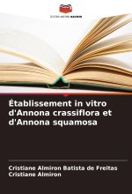 Établissement in vitro d'Annona crassiflora et d'Annona squamosa