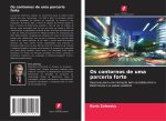 Os contornos de uma parceria forte
