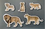 Magneticos familias leones