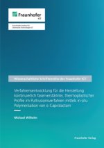 Verfahrensentwicklung für die Herstellung kontinuierlich faserverstärkter, thermoplastischer Profile im Pultrusionsverfahren mittels in-situ Polymeris