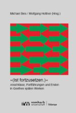 »(Ist fortzusetzen.)«