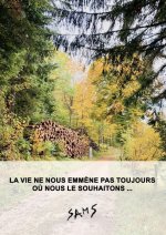 LA VIE NE NOUS EMMÈNE PAS TOUJOURS ...