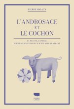 L'Androsace et le cochon