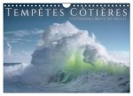 TEMPETES COTIERES PUISSANCE BRUTE VAGUES