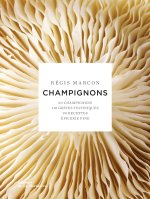 Champignons réédition
